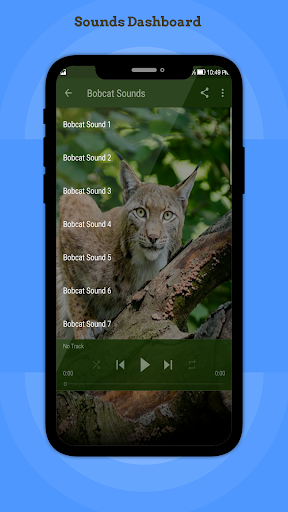 Bobcat Sounds Screen 2