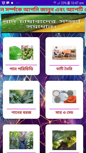 Android application নিরাপদ পান উৎপাদন~Betel Leaf screenshort
