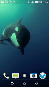 Orca 3D Video Wallpaper Unknown