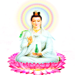 Phật Bà Quan Âm Độ Mạng Apk