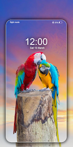 Birds Wallpapers Live in 4K,HD