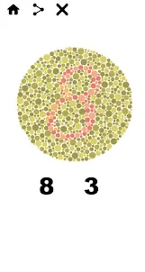 Color Blindness Test