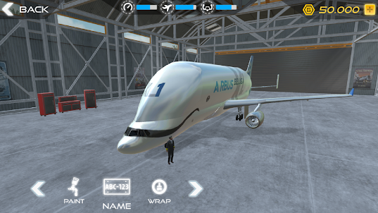 Simulador De Voo De Avião