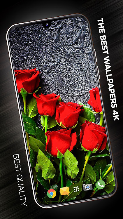 Flowers Wallpapers in 4K - 3.0.1 - (Android)