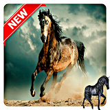 horse wallpaper hd 4k icon