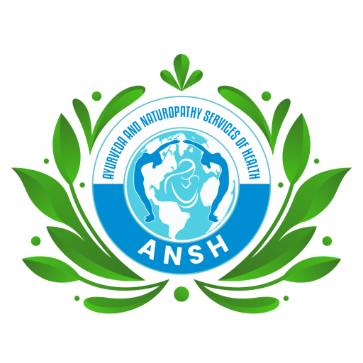 Ansh Life logo