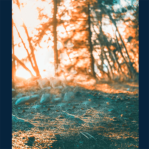 HD Background Photo Editing - AppWisp.com