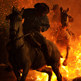 live fire horse icon