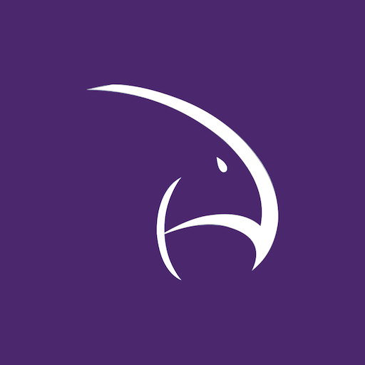 SkyHawk ConnectAnywhere logo