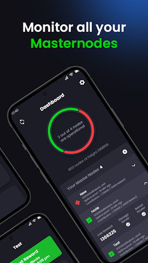 Beldex Masternode Monitor Screen 3