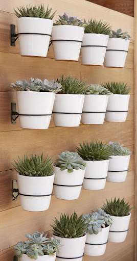 Vertical Garden Screen 3