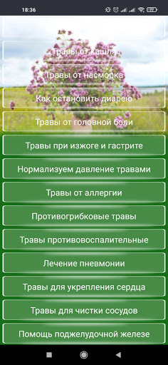 Травы И Их Фото