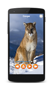 Animal Sounds Free Offline 5.0.1-40082 screenshots 1