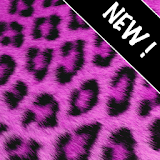 Go Contacts Pink Cheetah Theme icon
