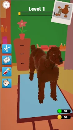 Pet Care 3D - Screenshot 4