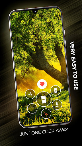 Trees Wallpapers in 4K Screen 2