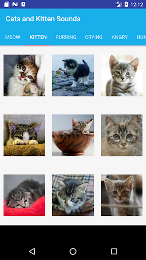 Cats and Kittens Sounds Screen 2