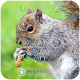 Squirrel Keypad Lock Screen icon