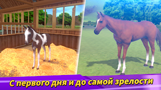 Game screenshot Derby Life apk download