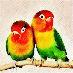 Cover Image of Download Suara Burung Lovebird Juara 1.0 APK