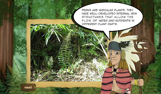 The Fern Screen 2