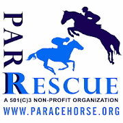 PA Racehorse
