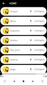 Brazilian songs 1 APK + Mod (Free purchase) for Android