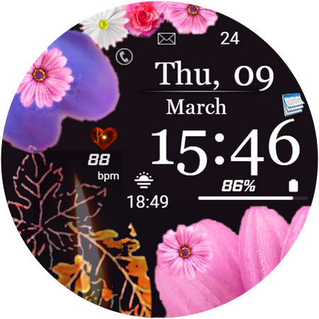 FSW225 WATCHFACE Screen 3