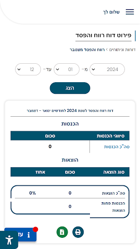 ליבוביץ שרותים פיננסים Screenshot