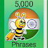 Learn Hindi - 5,000 Phrases