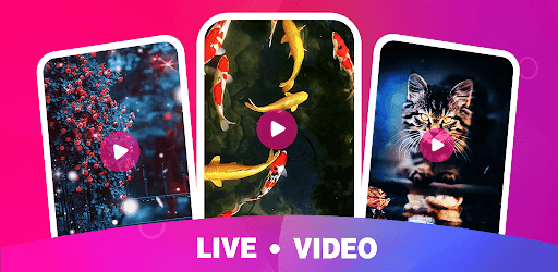 Wallpapers-video wallpaper