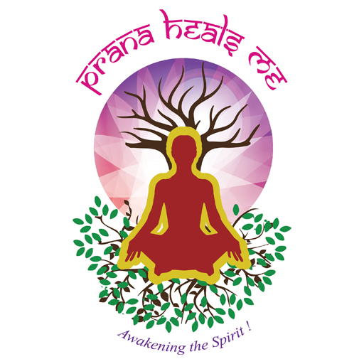 Prana Heals Me Guided Meditation  Healing.