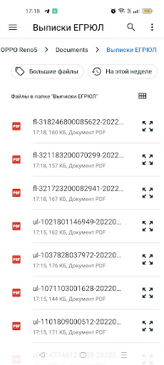 Выписки ЕГРЮЛ/ЕГРИП из ФНС Screen 3