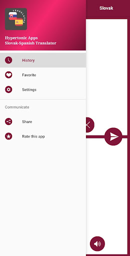 Slovak - Spanish Translator Screen 3