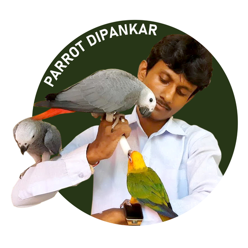 Parrot Dipankar Store logo