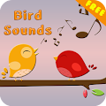 Bird Sounds Apk