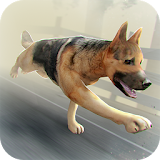 My Zombie Dog Free Simulator icon