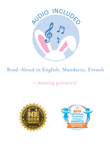 The Little Baby Airplane