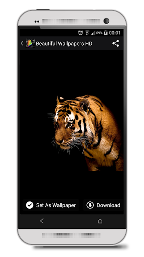 Beautiful Wallpapers HD