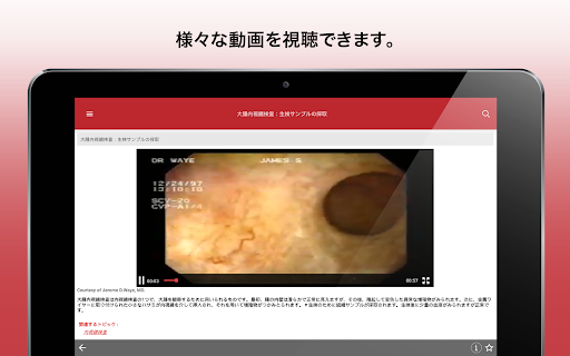 Screenshot of MSDマニュアル家庭版
