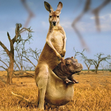Kangaroos Water LWP icon