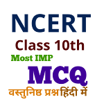 Cover Image of डाउनलोड NCERT CLASS 10th MCQ  APK
