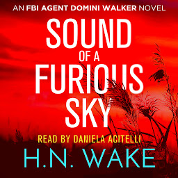 Icon image Sound of a Furious Sky: FBI Agent Domini Walker Book 1