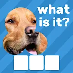 Cover Image of 下载 Zoom Quiz: Close Up Pics Game, Guess the Word 3.0.3 APK