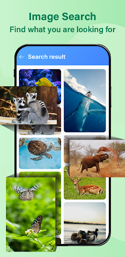 Image Search - Photo Searcher 2