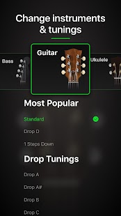 Guitar Tuner Pro: Music Tuning Screenshot