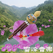 中国葫芦丝曲纯音乐- 可制作铃声 - Androidアプリ