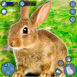 Rabbit Simulator Animals Games