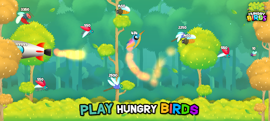 Hungry Birds Game