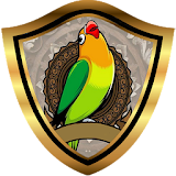 TERAPI LOVEBIRD PAUD | Simulasi Lomba icon